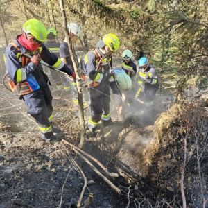 WaldbrandRein (26)